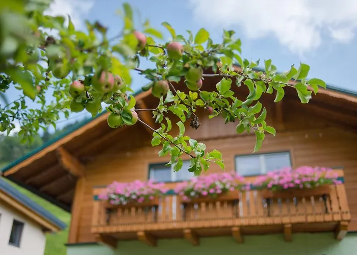 Evi سخلادميخ